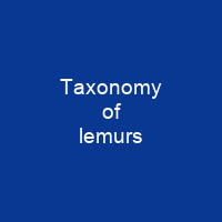 Taxonomy of lemurs