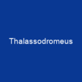 Thalassodromeus
