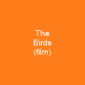 The Birds (film)