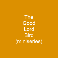 The Good Lord Bird (miniseries)