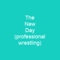 The New Day (professional wrestling)