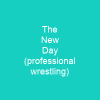 The New Day (professional wrestling)