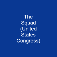 The Squad (United States Congress)