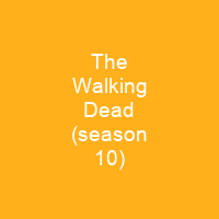 The Walking Dead (season 10)
