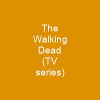 The Walking Dead (TV series)