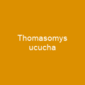 Thomasomys ucucha