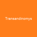 Transandinomys
