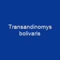 Transandinomys bolivaris