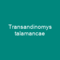 Transandinomys talamancae