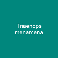 Triaenops menamena