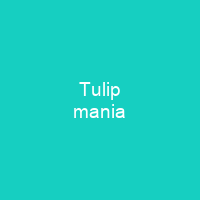 Tulip mania
