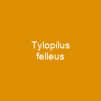 Tylopilus felleus