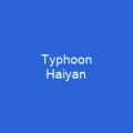 Typhoon Goni (2020)