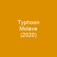 Typhoon Molave (2020)