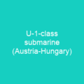 U-1-class submarine (Austria-Hungary)