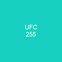 UFC 255