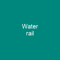 Water rail