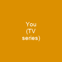 You (TV series)