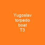 Yugoslav torpedo boat T3