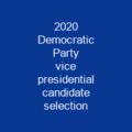 2020 Democratic Party vice presidential candidate selection