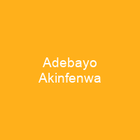 Adebayo Akinfenwa