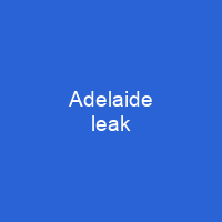 Adelaide leak