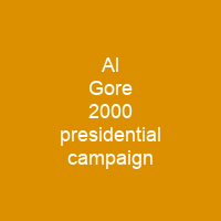 Al Gore 2000 presidential campaign