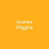 Andrew Wiggins