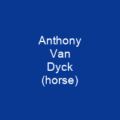 Anthony Van Dyck (horse)