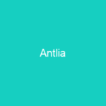 Antlia