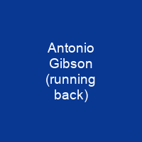 Antonio Gibson (running back)