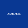 Asafoetida