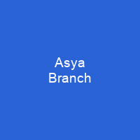 Asya Branch
