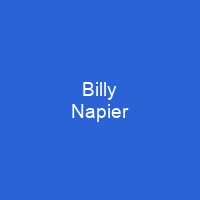 Billy Napier