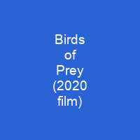Birds of Prey (2020 film)