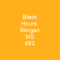 Black Hours, Morgan MS 493