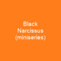 Black Narcissus (miniseries)
