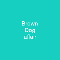 Brown Dog affair