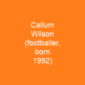 Callum Wilson (footballer, born 1992)