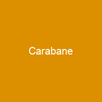 Carabane