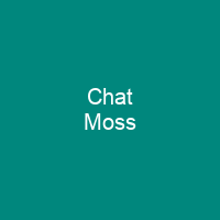 Chat Moss