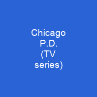 Chicago P.D. (TV series)