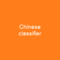 Chinese classifier
