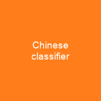 Chinese classifier