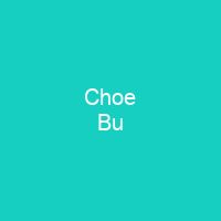 Choe Bu