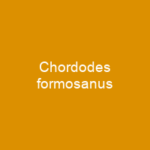 Chordodes formosanus