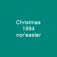 Christmas 1994 nor'easter