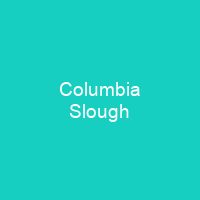 Columbia Slough
