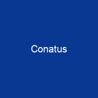 Conatus