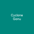 2001–02 South-West Indian Ocean cyclone season